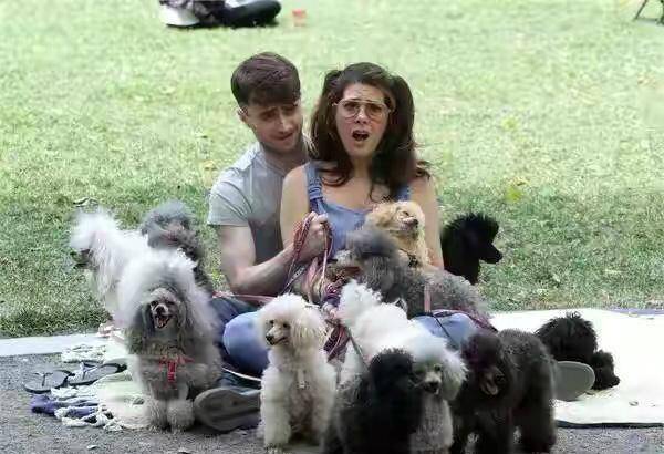 "哈利波特"颜值下跌!腰上绑10来条狗,美女坐怀中他紧张到皱眉_丹尼尔_