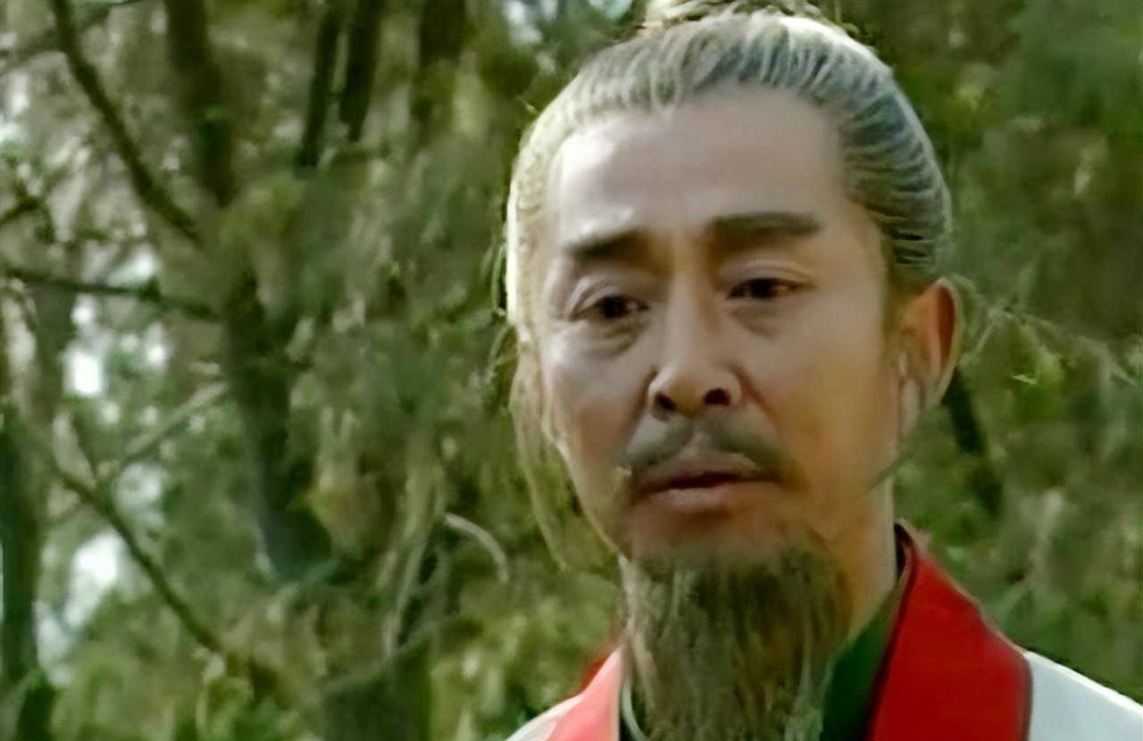 相比冷琴,演员王永泉在《白眉大侠》中扮演的陆天林,就要出彩很多,陆