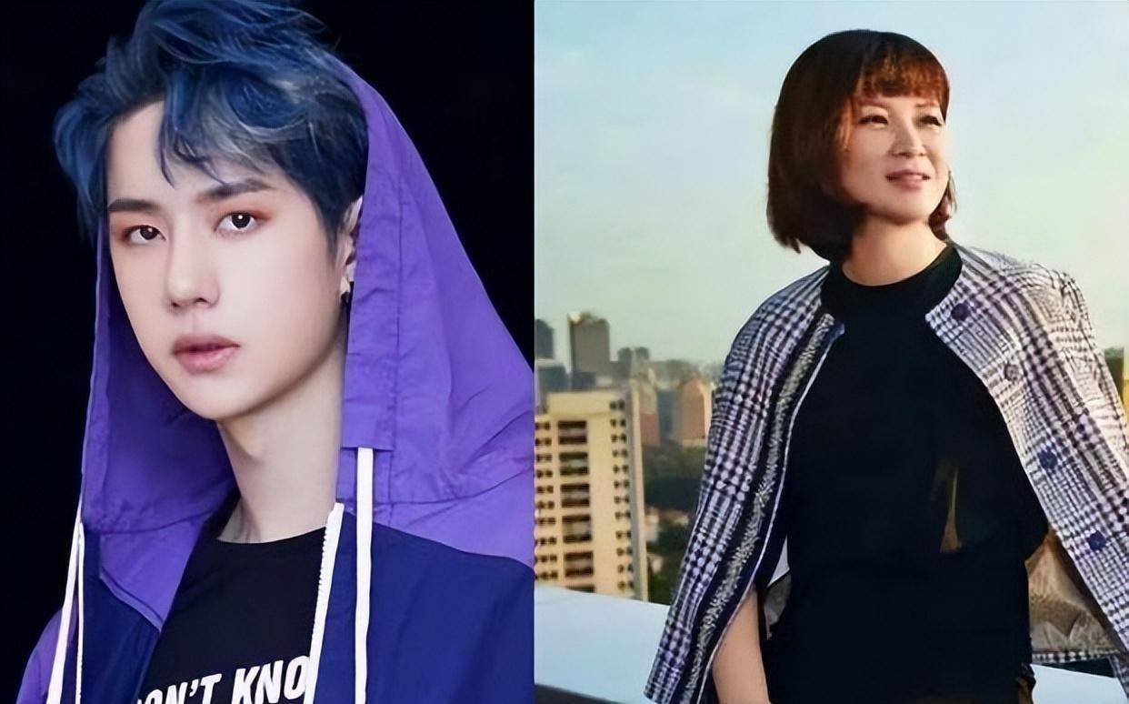 "娱圈教母"杜华:资源比艺人还好,却把儿子变成"最惨太子爷"_杨紫_节目