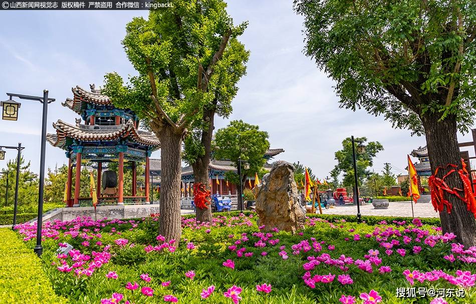 山西平陆:芍药花开香满园_摄影_平陆县_周仓