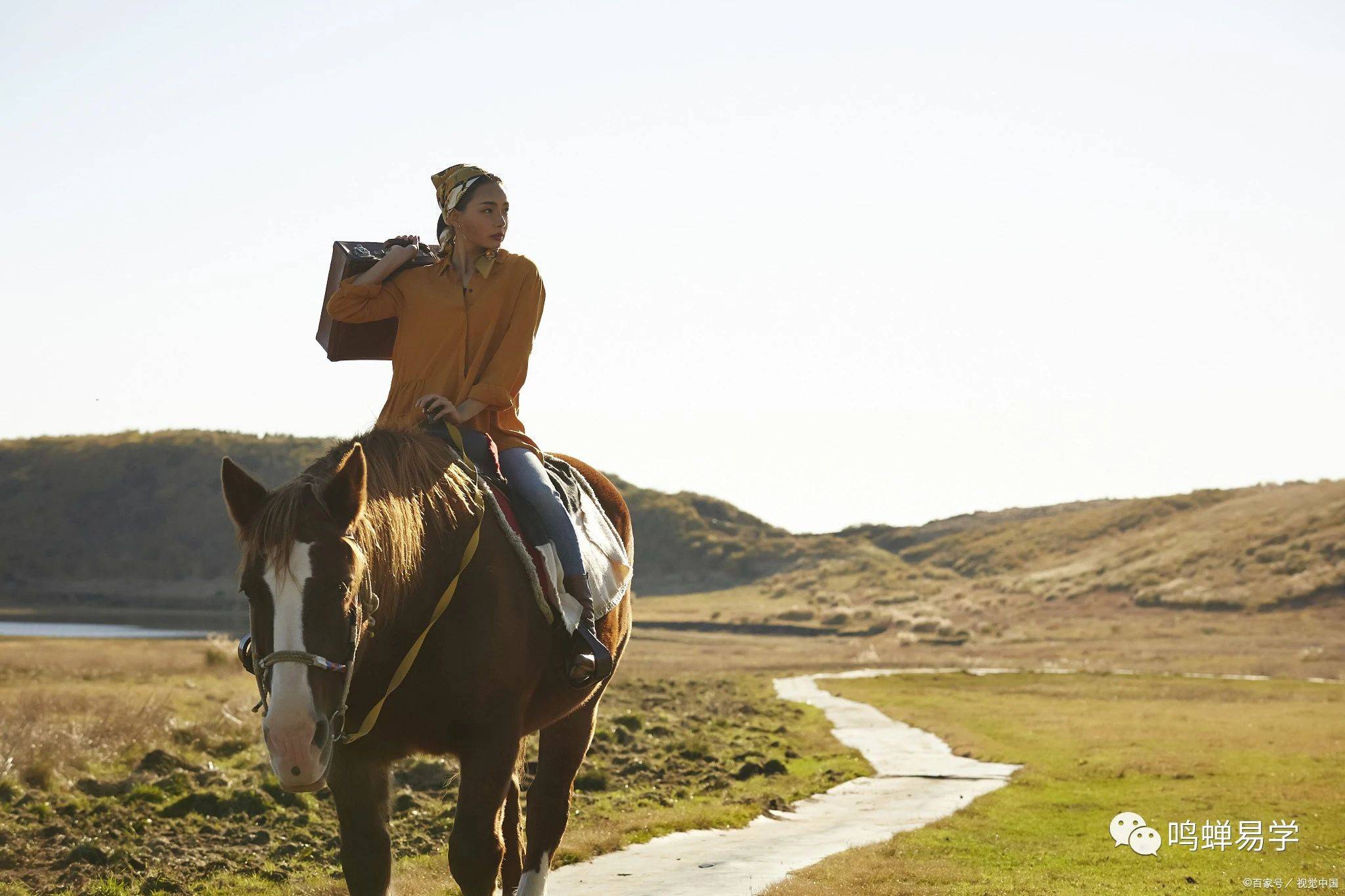 巳中藏有丙火,如果在原局或者大运流年再见到丙,就是驿马
