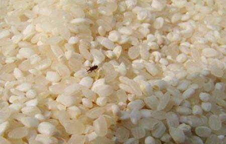 有效防止米缸中生米虫的方法