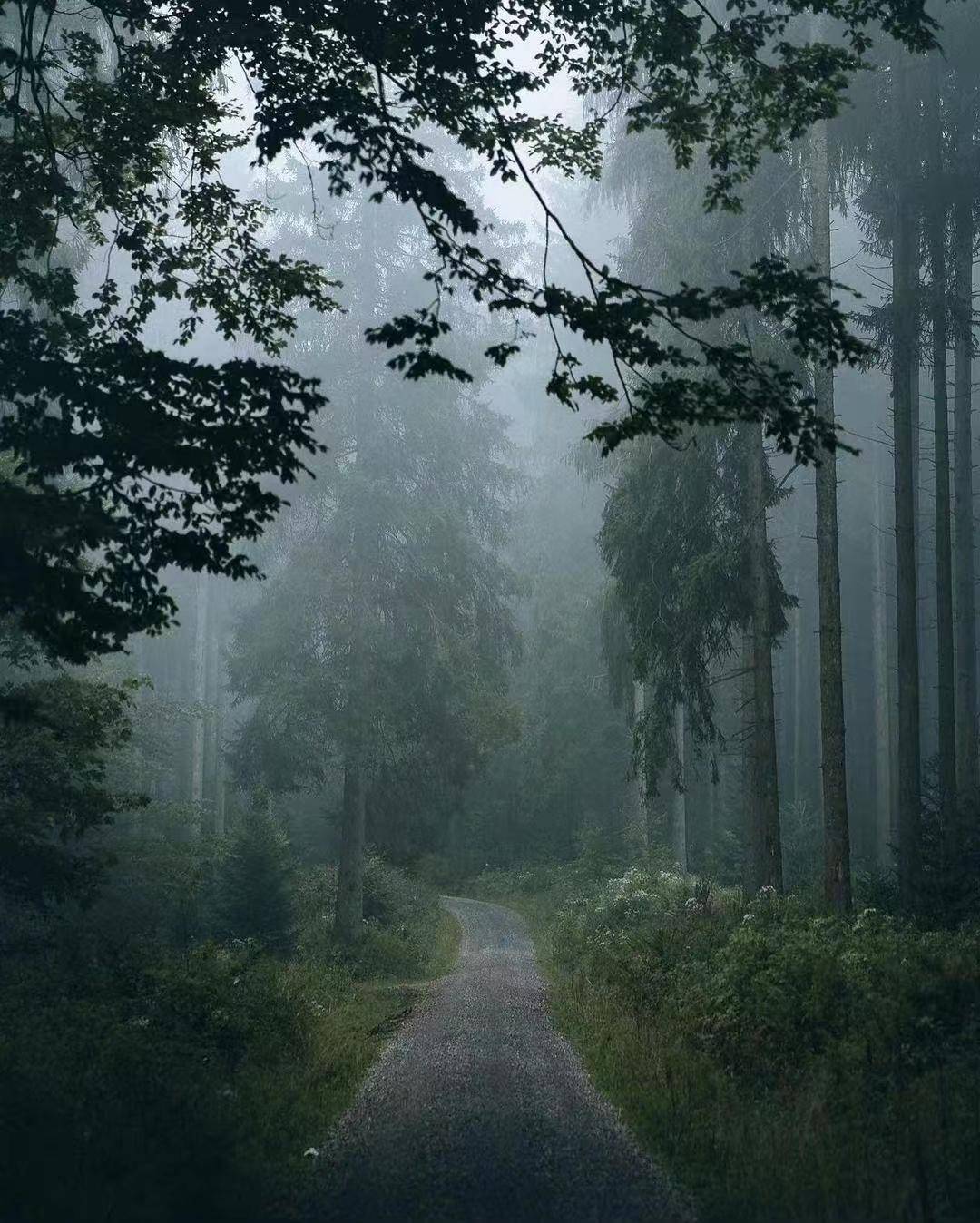 低饱和度照片怎么调才好看?后期攻略来了_调整_暗部_进行