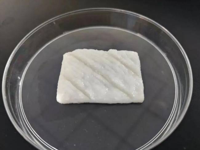 想吃鱼了吗?未来或可3D打印 1 想吃鱼了吗?未来或可3D打印
