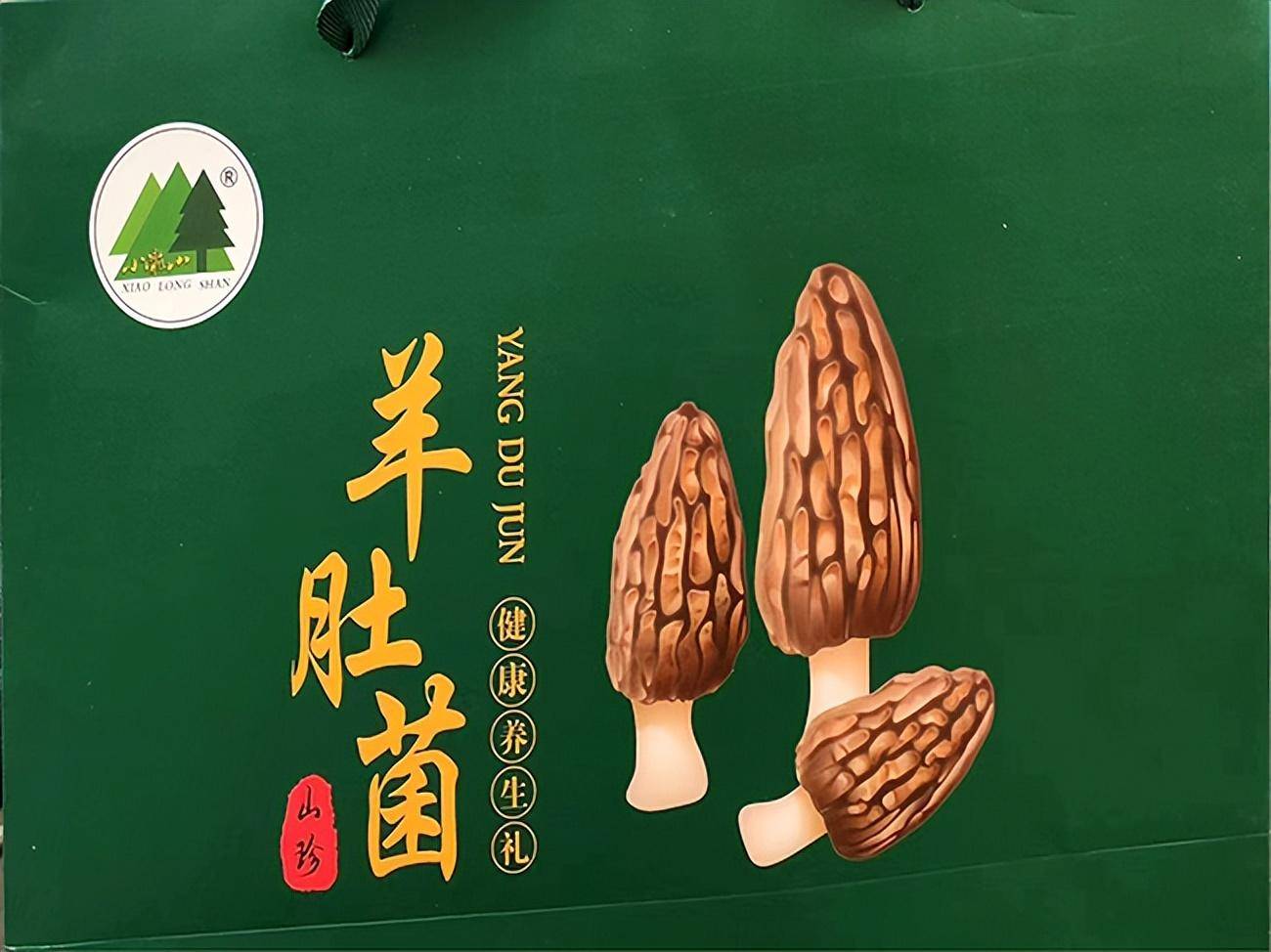 小陇山百花林场创新发展方式"一园两区"建设初见效_种植区_森林_苗木