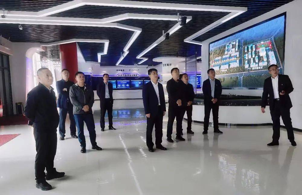 全国青年发展型城市试点建设中期评估组赴我园开展评估调研_九台_无人