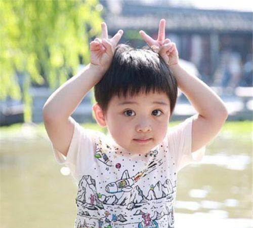 彭子苏_杨洋_桃花