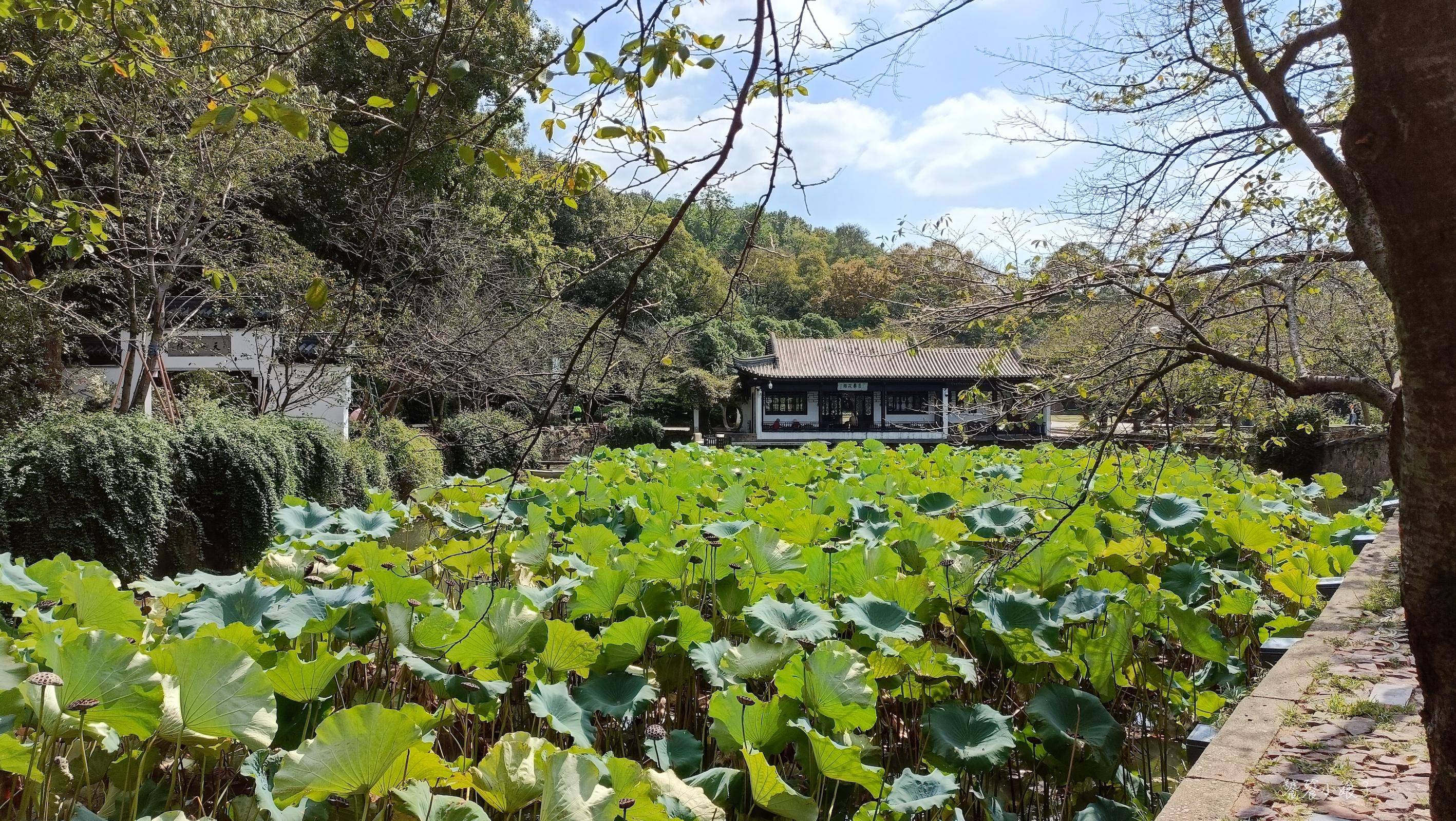 泰伯_范蠡_中国