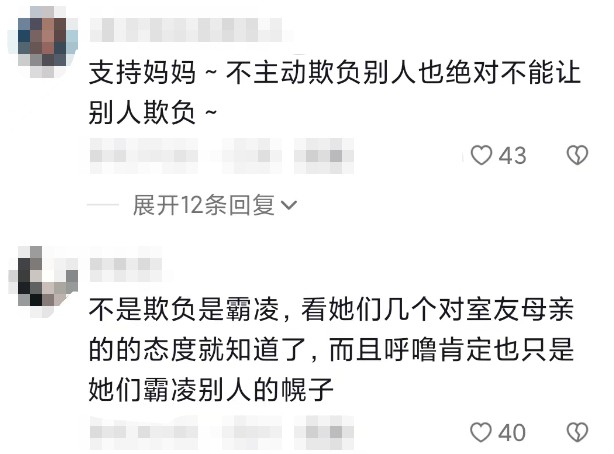 女儿被欺负 母亲进校扇舍友耳光,背后原因让人气愤