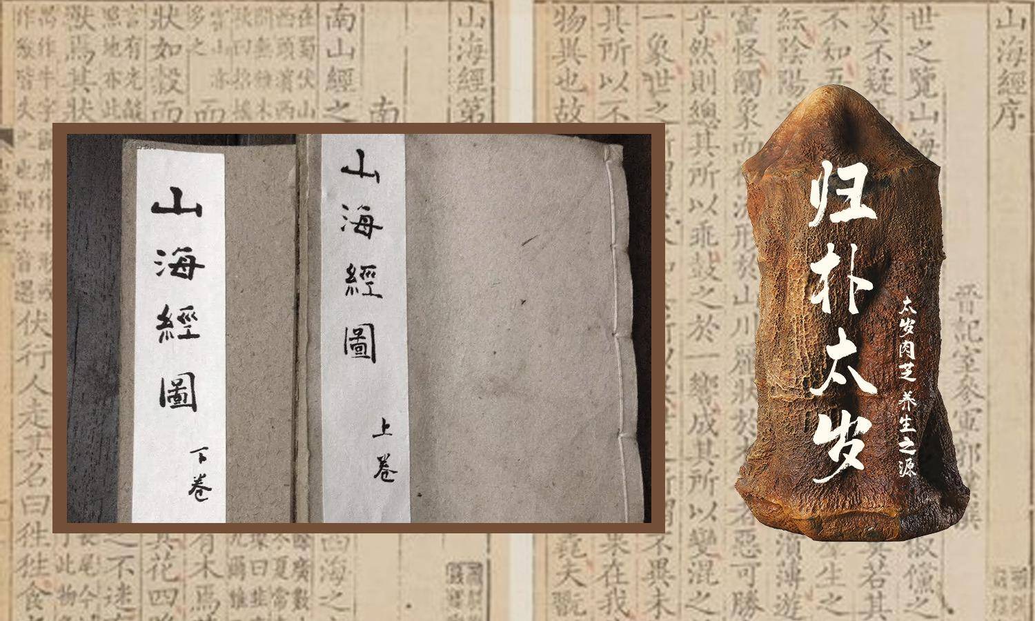 盘点几个违背生命规律的生物：你听说过，跳出三界的“太岁”吗？_搜狐网, image size:1500x900