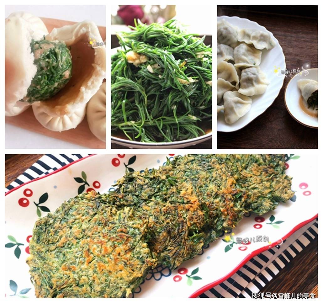 黄须菜是天然通便剂分享4种吃法,润肠通便好处多,不懂可惜!
