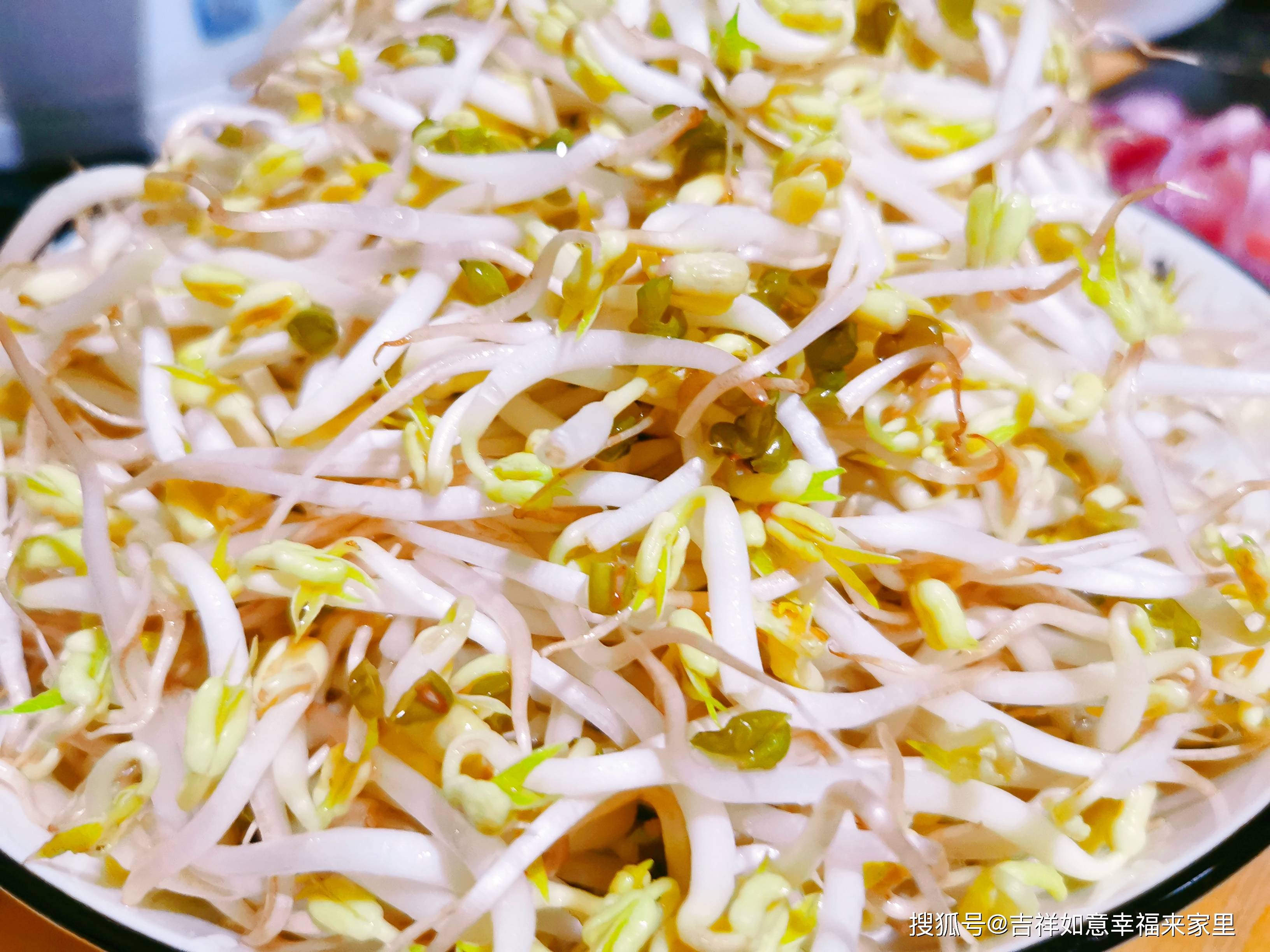 家常快手菜，绿豆芽炒肉片，好吃美味，脆爽可口，简单好做，好吃（肉炒绿豆芽菜怎么炒才能好吃）