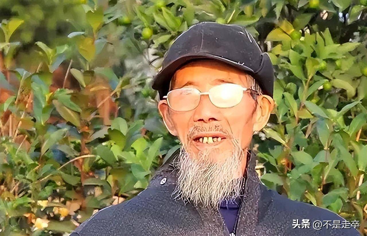 最后心生担忧的文长林,选择前去广州找寻张凤,由于他们在日常联系的