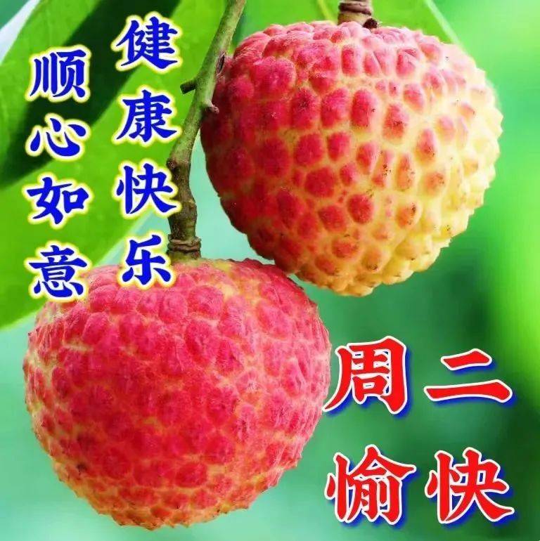 5月30日周二早上好,清晨温馨唯美祝福语图_问候_关爱_吉祥