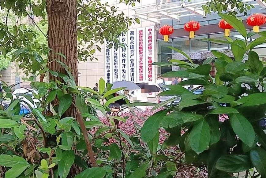 催收巨头永雄停业：多家分公司被查 200余条