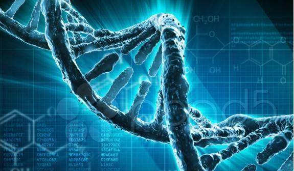 曾经有科学家称人类是"第三类黑猩猩",这是什么意思呢?