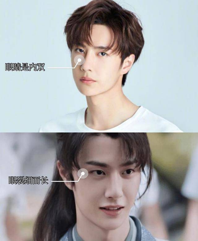 从三庭五眼分析:王一博的魅力感在哪里?_鼻子_衡量标准_五官