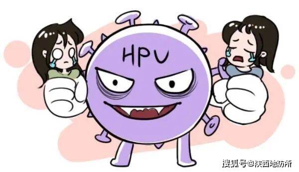 hpv 感染不只女性会有,男性也会感染.hpv 可以感染阴茎和睾丸等部位.