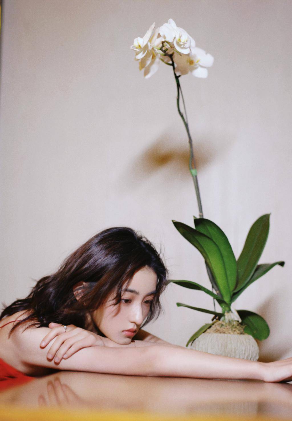 张子枫瘦了很多,但是红色的露背裙配上慵懒的卷发真的很美_姐姐_风格