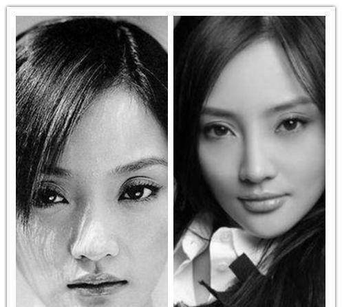 李小璐另有一对明星也是蜜汁相像大吟吟倒觉得她更像是王媛可但是最近