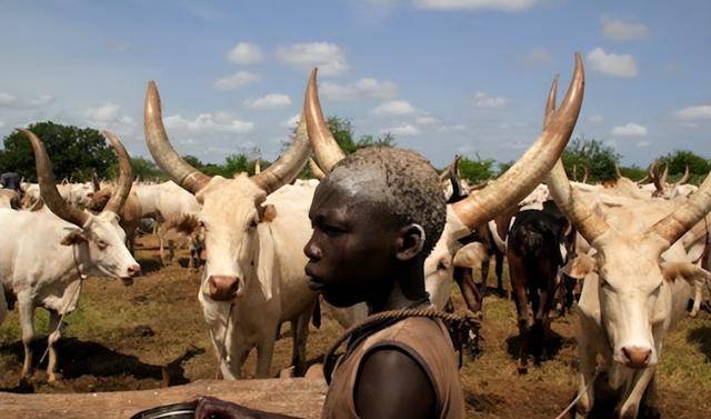 神秘的非洲努尔族:为了延续后代,女人也可以"娶妻"_发展_部族_扩张