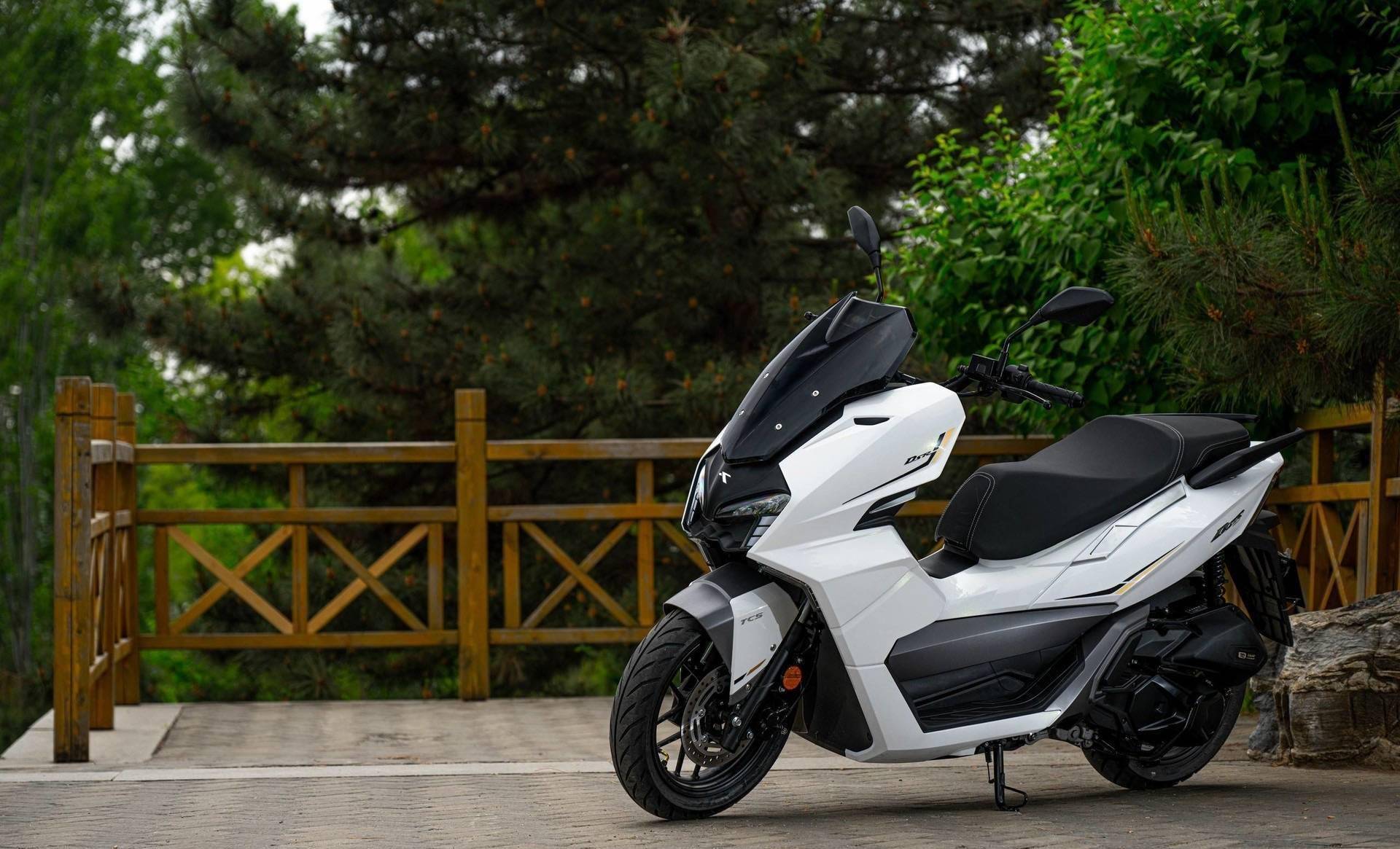 12980元的台荣-荣150,颇有性价比的运动型150水冷踏板!