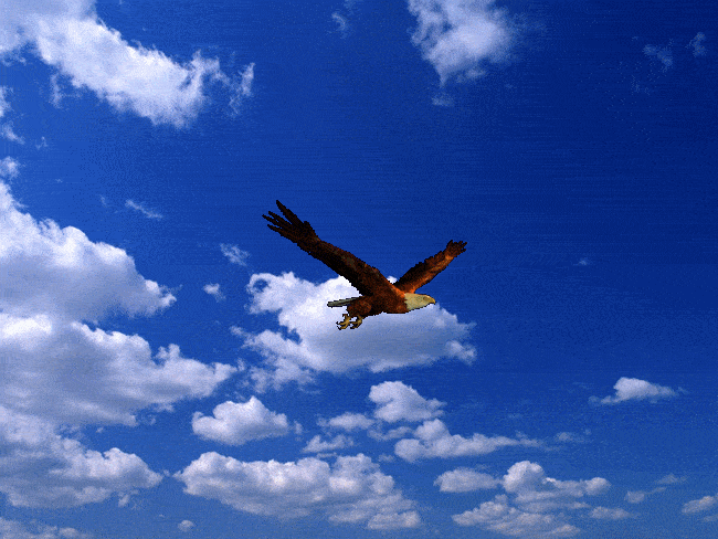 1716陪孩子成长:逾越超越到卓越;上联:展翅高飞同进步,下联?