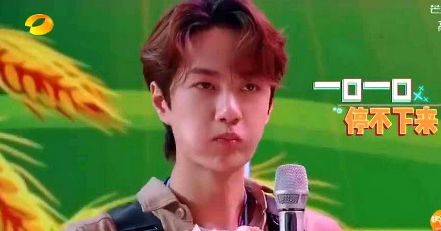 看完杨乐乐发的玩具,才发现汪涵喜欢王一博,还有这层原因_天天兄弟