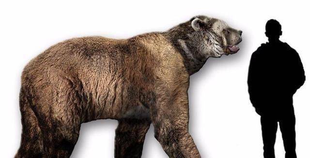 巨型短面熊能否与霸王龙一较高下?为什么?_南美_动物_对比