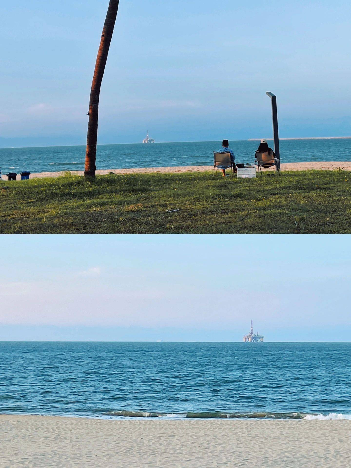 海口小众免费景点|海边最孤独的树,附攻略_沙滩_沙子_故事