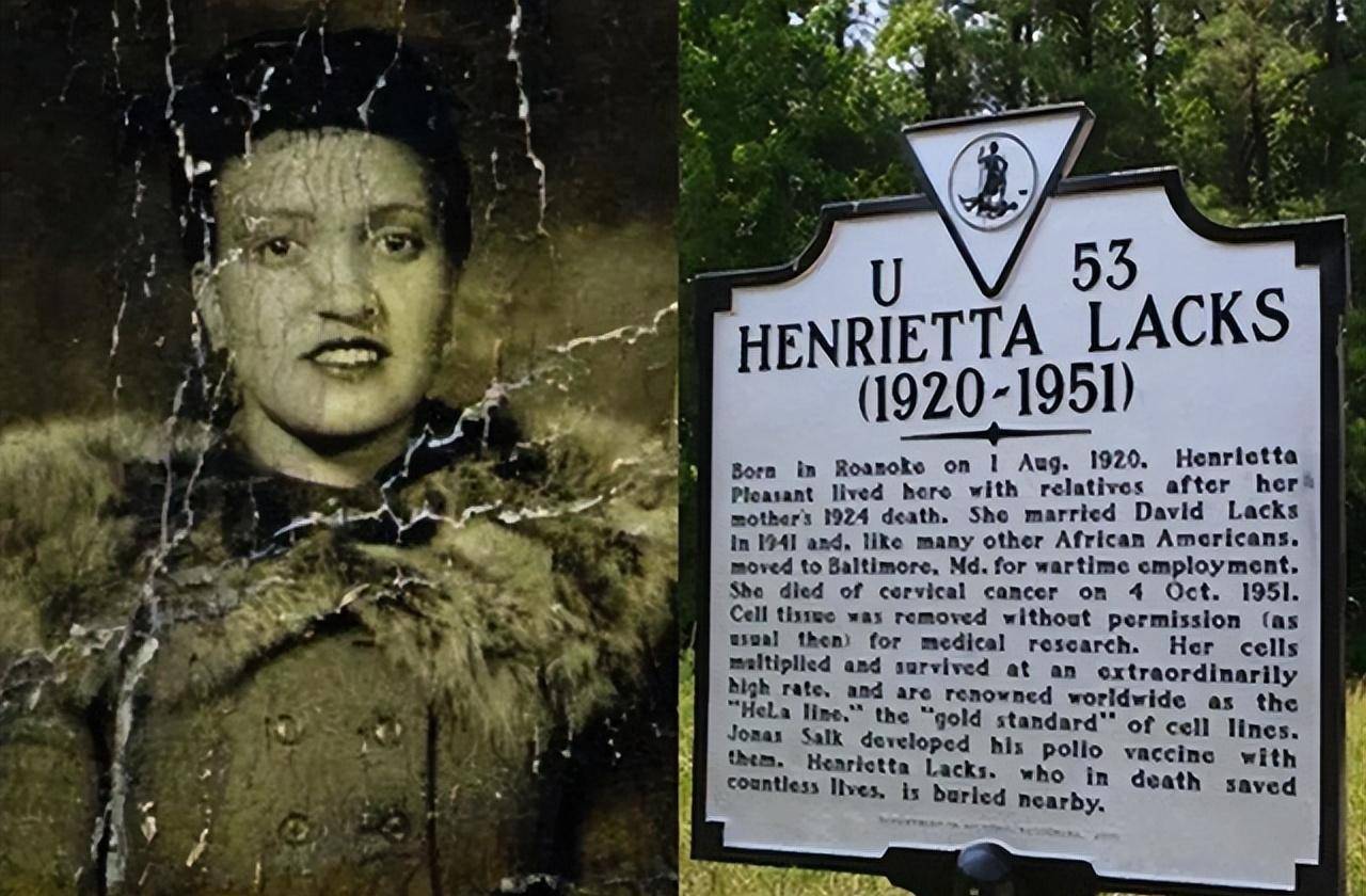 但她的癌细胞却还在继续繁衍,总重已达5000万吨_海瑞_拉克斯_孩子