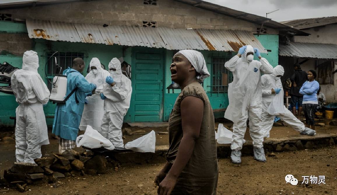 第14轮埃博拉疫情有高传染性在2014年,非洲西部国家几内亚爆发了一场