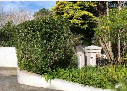 陈思诚佟丽娅澳洲7000万豪宅被荒废,院内杂草丛生,墙面到处开裂_陈思