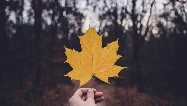 无法预知下一秒会发生什么,与其胡乱猜测,不如随缘静观其变