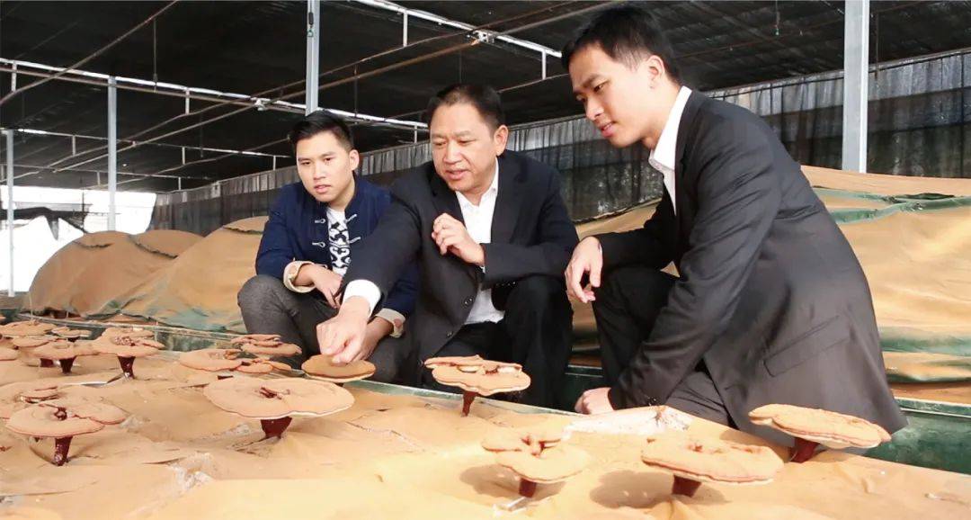 少帅李振宇:同心携手,推动百年"寿仙谷"传承创新