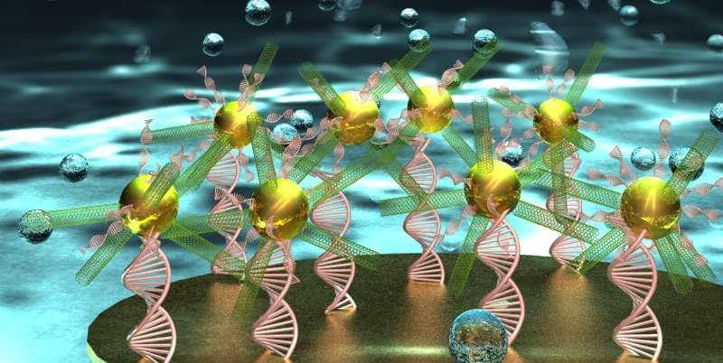 纳米光化学dna生物传感器,在生物医学中,怎样检测肿瘤标志物_探针_的