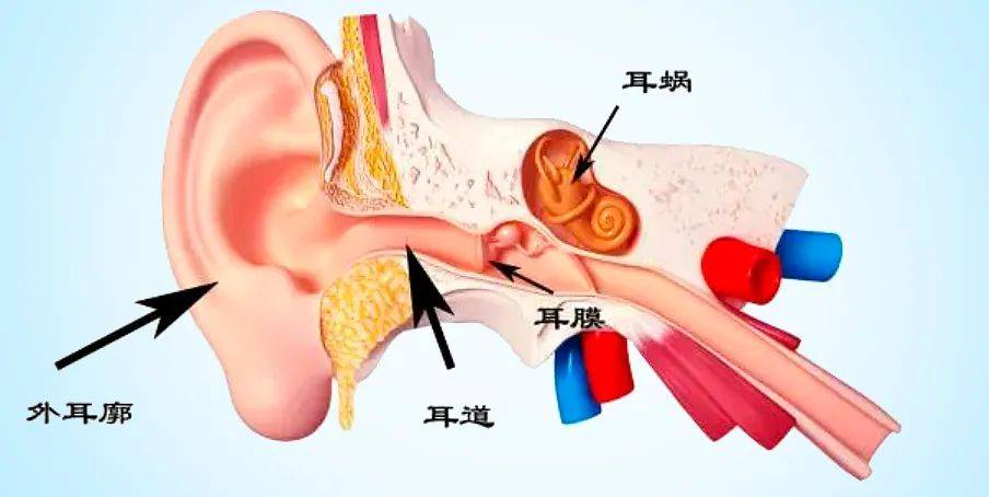 01什麼是