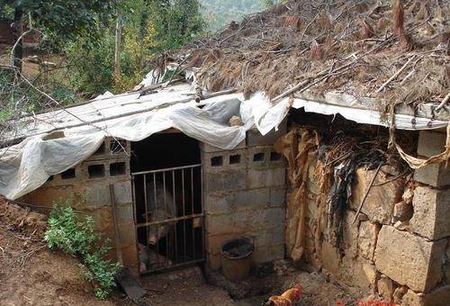 长沙挖出千年"猪圈",旁边一小窝却让人费解,专家:不