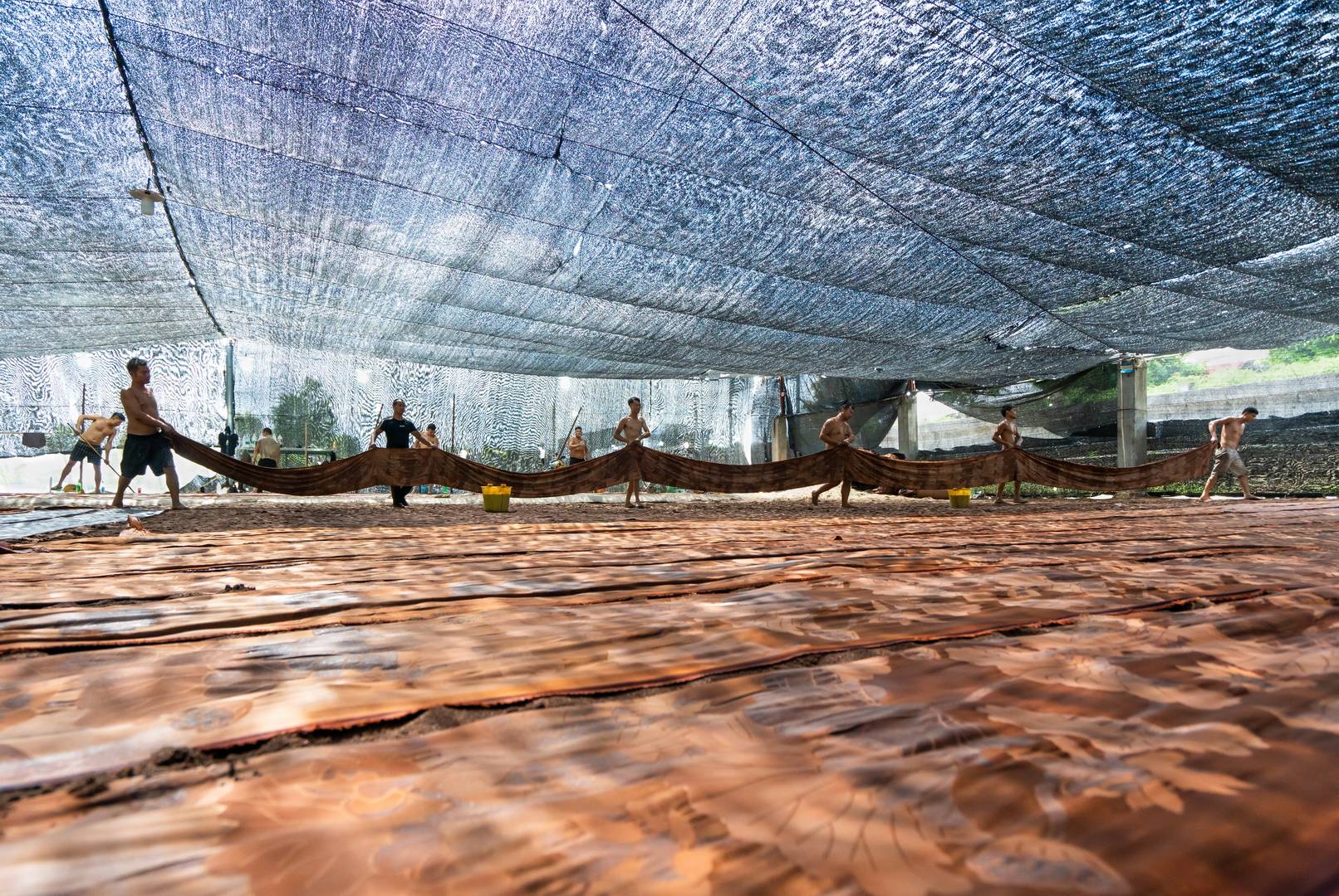 国家级非遗"软黄金"香云纱,明艳绚烂,精工巧造_黎鸣_廖伟光_工艺流程