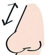 悬胆鼻就是人们常说的猪胆鼻,鼻子这种特征的人山根端秀,准头丰满,如