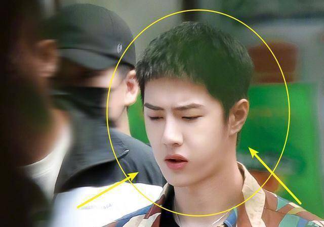 王一博现身成都录制,和175大张伟站在一起,这腿确定不是五五分_身高