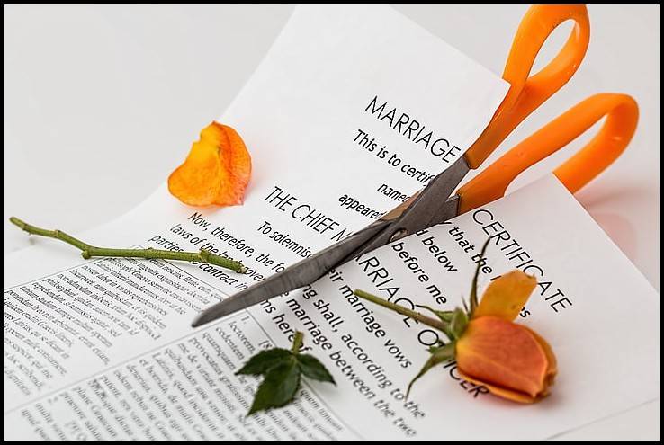 AI智能写作怎么在线操作？智能写作（不要告诉别人）-微丽宝