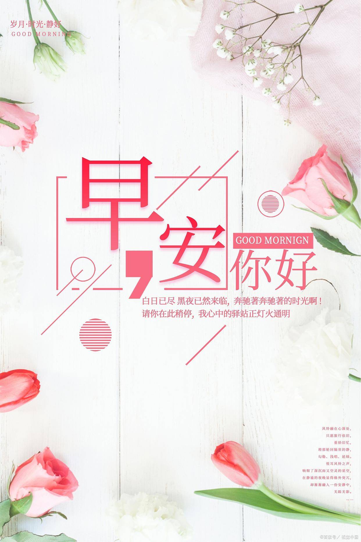 早上问候的暖心句子短句（早上问候语温馨一句话短语）-早上问候的精美短句子