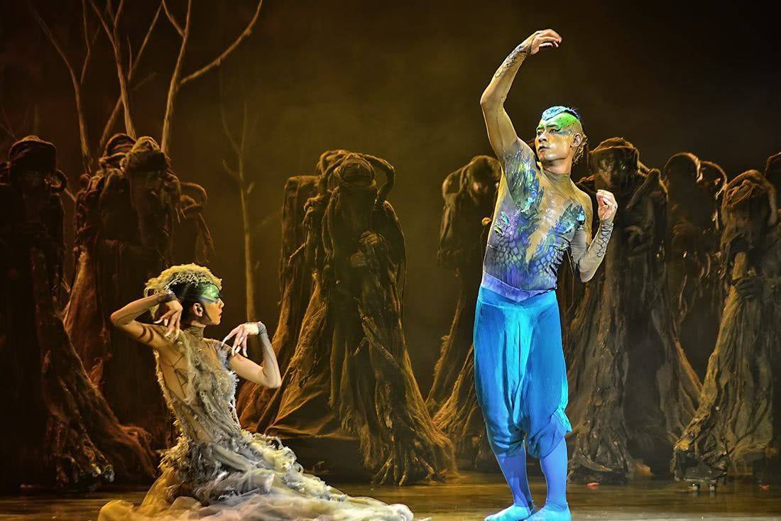 裸舞的孔雀:艺术的奇迹还是不雅的闹剧?_杨丽萍_男舞者_才能