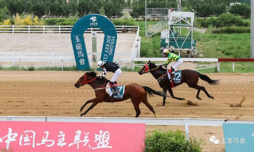 "海军旗帜"子嗣"龙盛赫拉"斩获1000米冠军_玉龙_出赛_名下