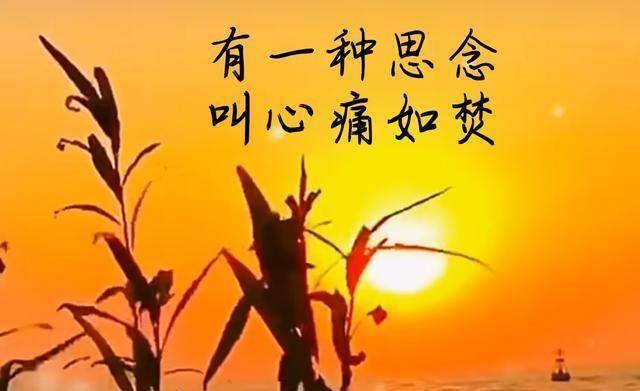 一种痴情叫永远,有一种思念叫心疼,有一种过去,叫永远都过不去_一个人