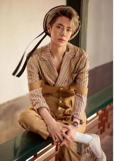 张艺兴白敬亭刘昊然王一博,青出于蓝胜于蓝_杨蓉_程潇_因为