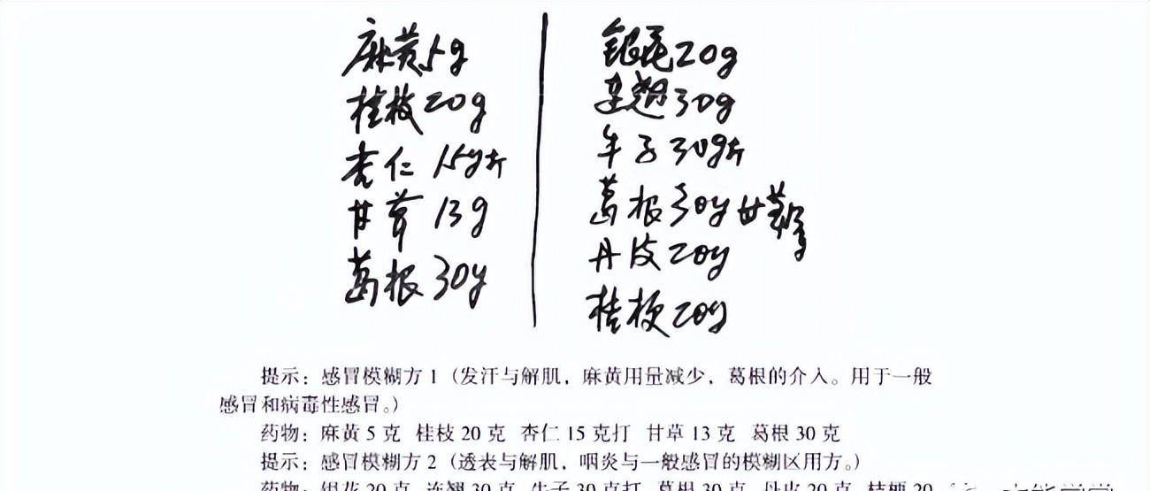 郭生白先生临床治疗感冒方剂分析(1)_本能_葛根_病毒