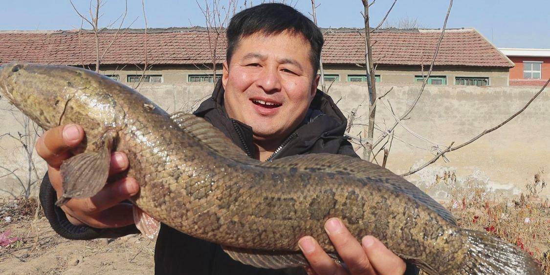 山东人钓到一条重达数百条鲶鱼的大黑鱼,卖了8.