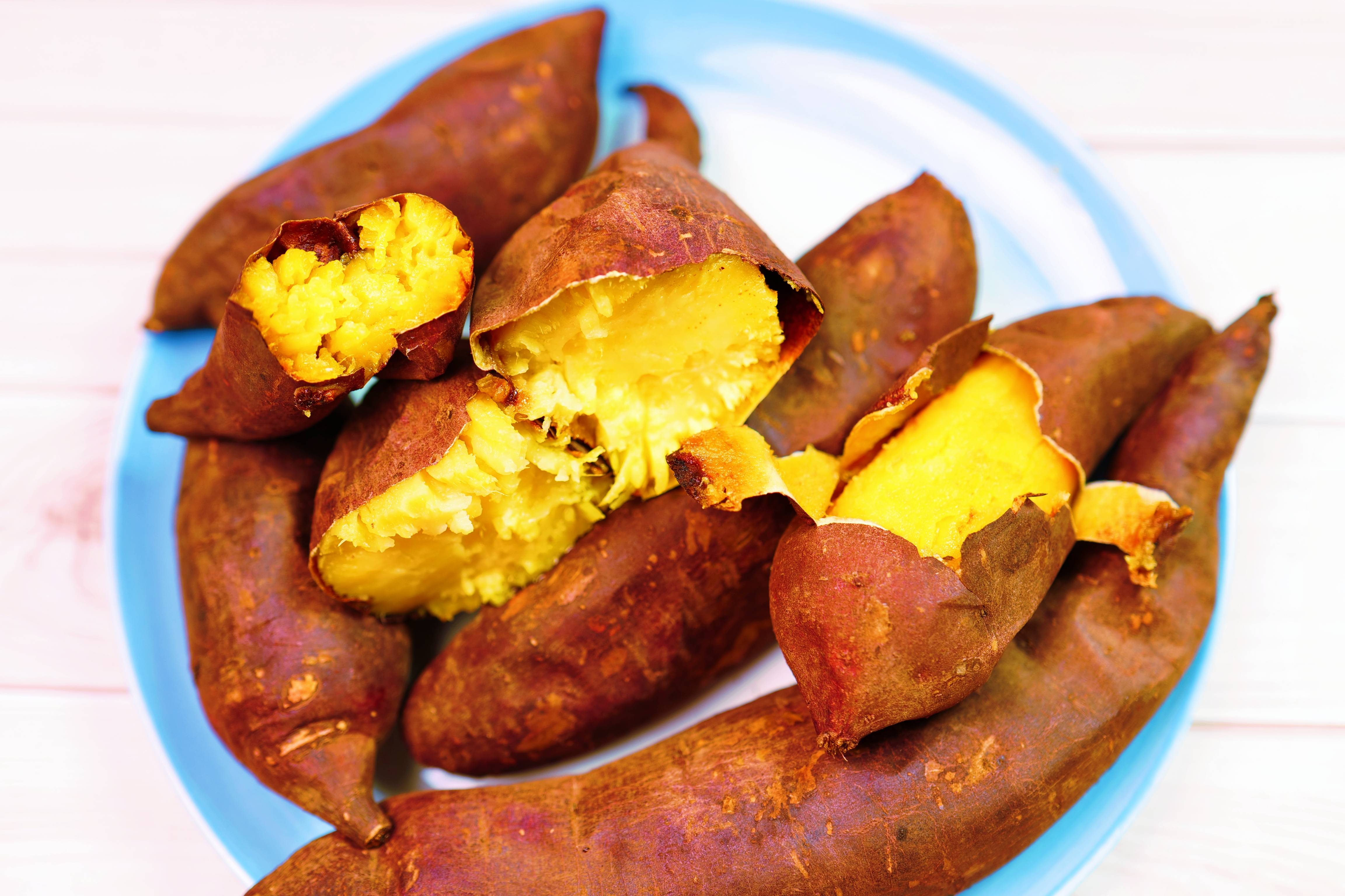 卷王｜入门烤箱也可以Pro，长帝猫小易Pro了解一下！